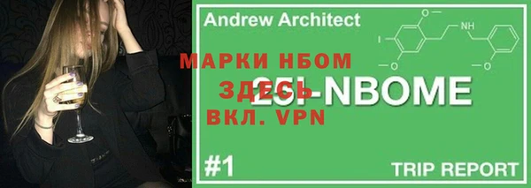 индика Козловка