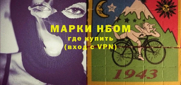 индика Козловка