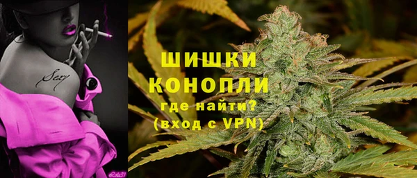 индика Козловка