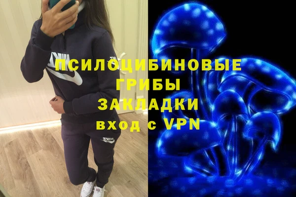 дживик Кодинск