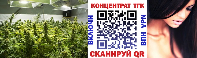 Купить где  Заречный  ТГК вейп с тгк 