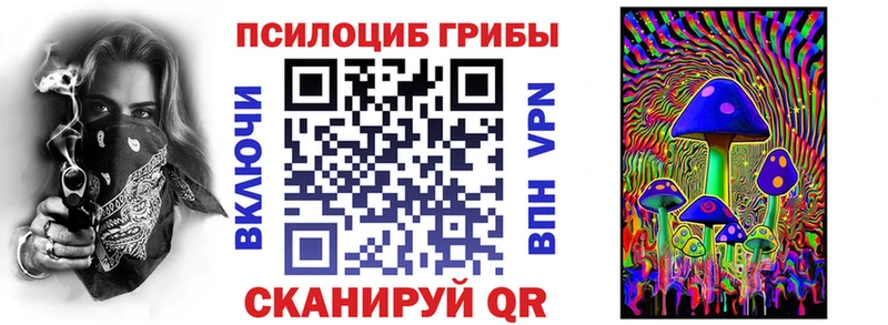 Купить  Заречный  Псилоцибиновые грибы MAGIC MUSHROOMS 
